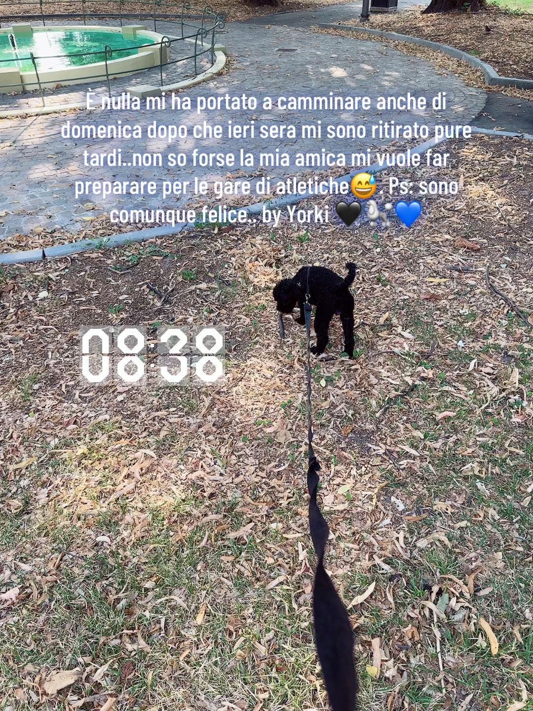 @catrin.yorki🖤🐶🌈🏳️🌈💜
