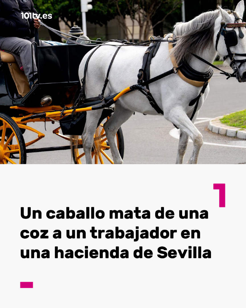 @101tv.es Sevilla
