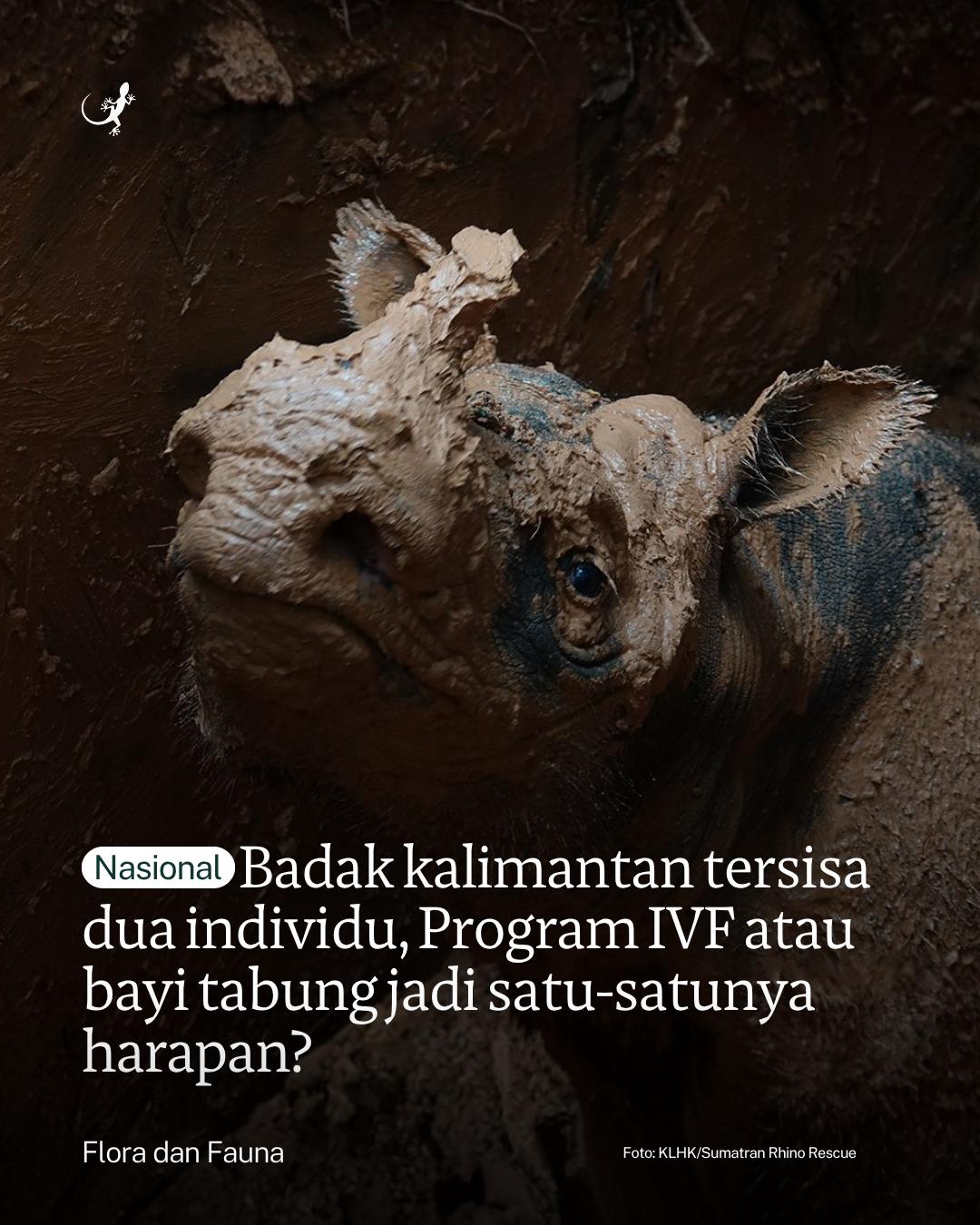 @mongabayindonesia