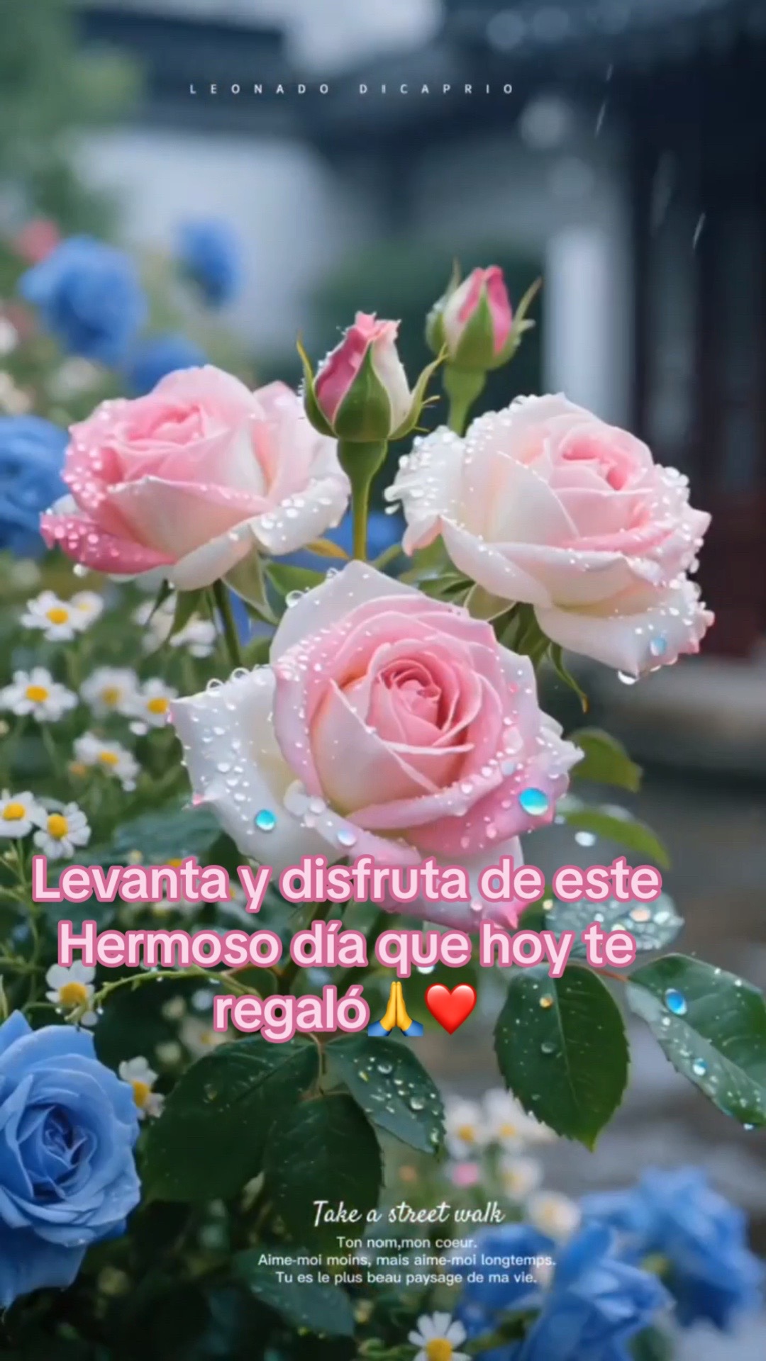 @🌙🌸N LUNA