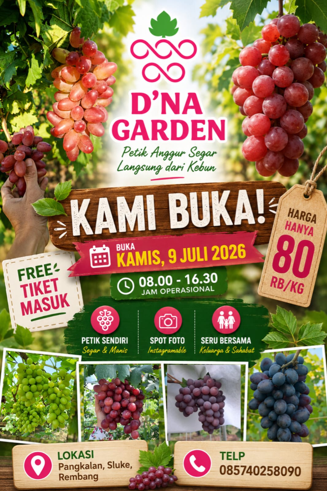 @DNA Garden