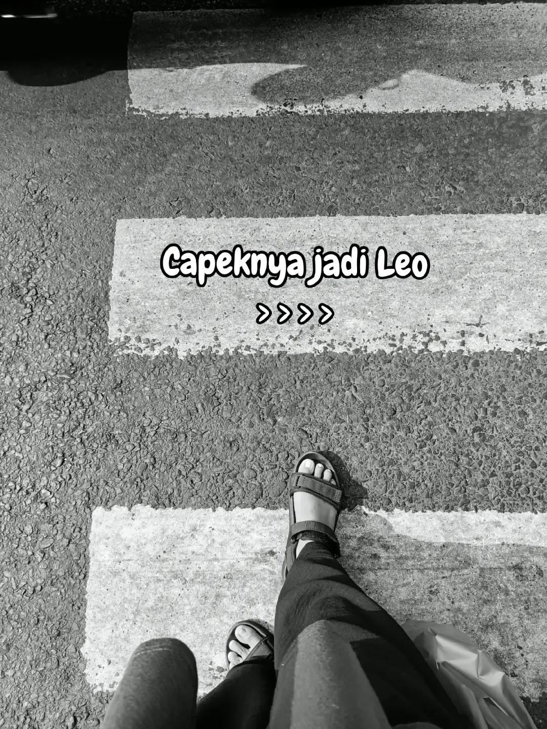 @Hallo_Leo ♌