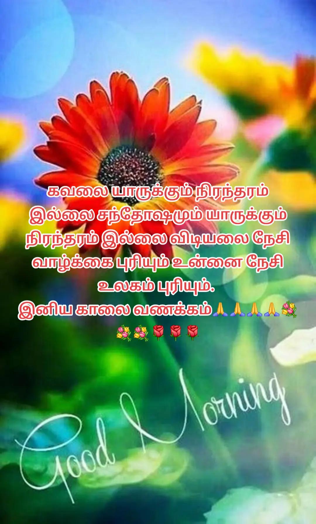 @DJ Vijay 🏋️🏋️❤️❤️❤️🔉🎤🎙️🔉