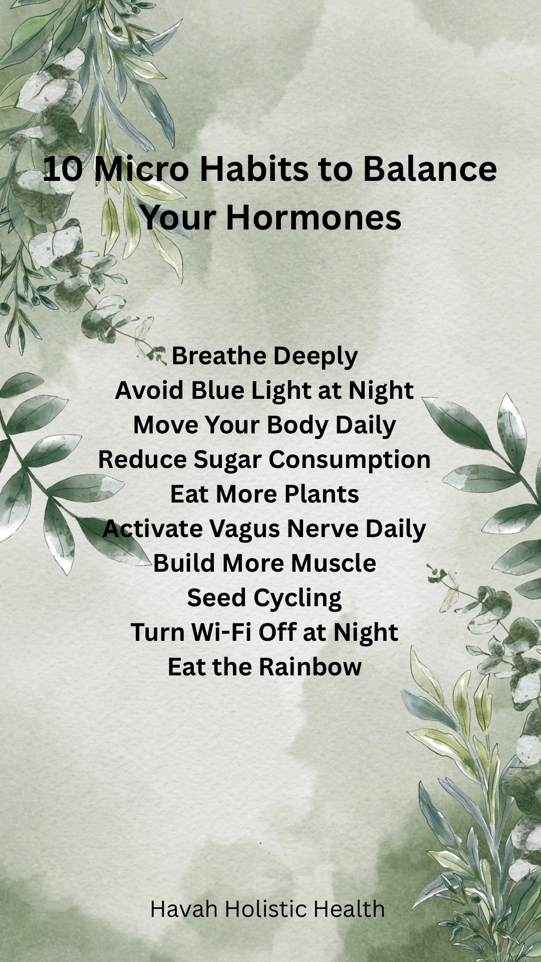 @havah holistic health