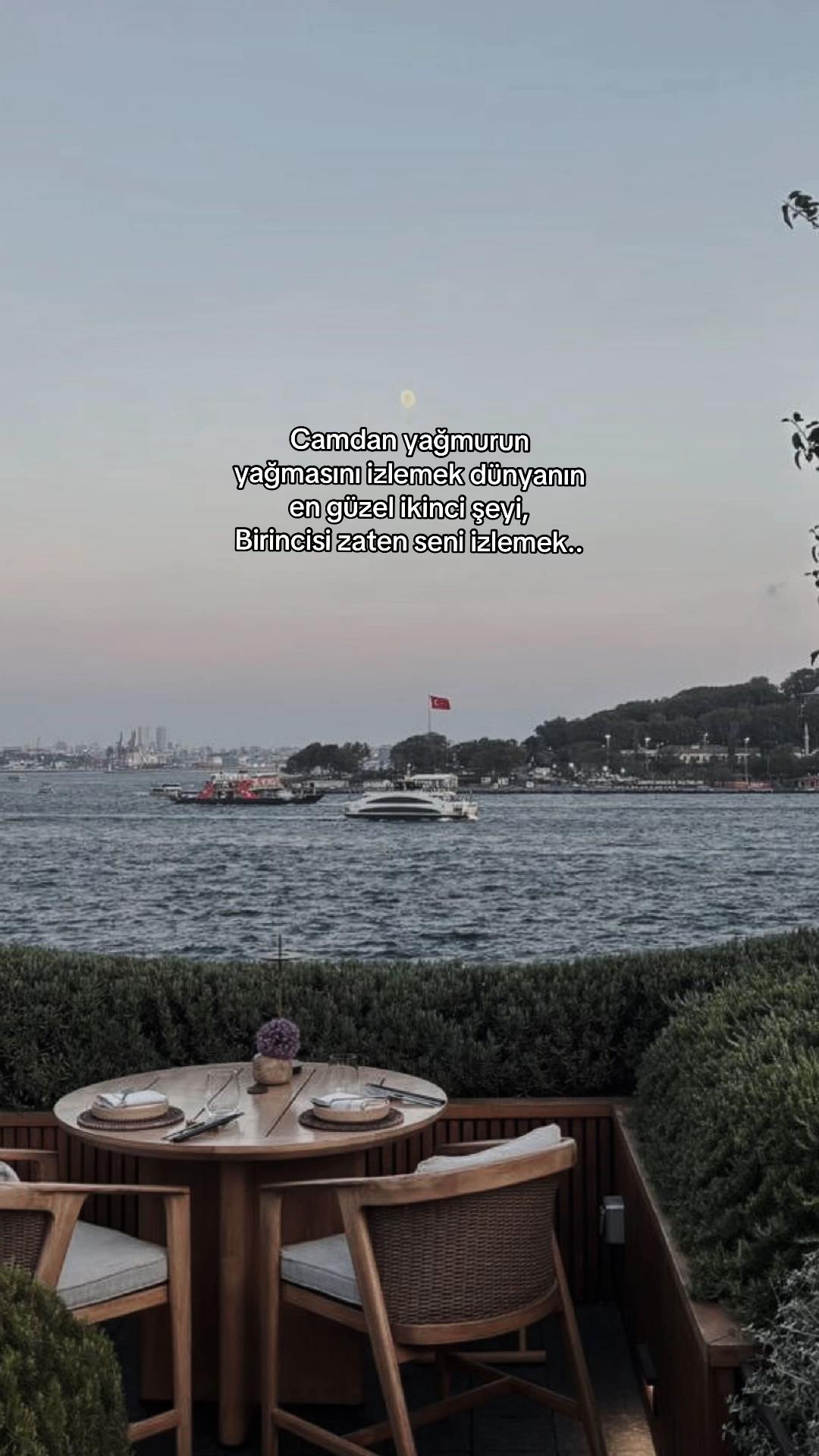 @seviyorgibiydin24