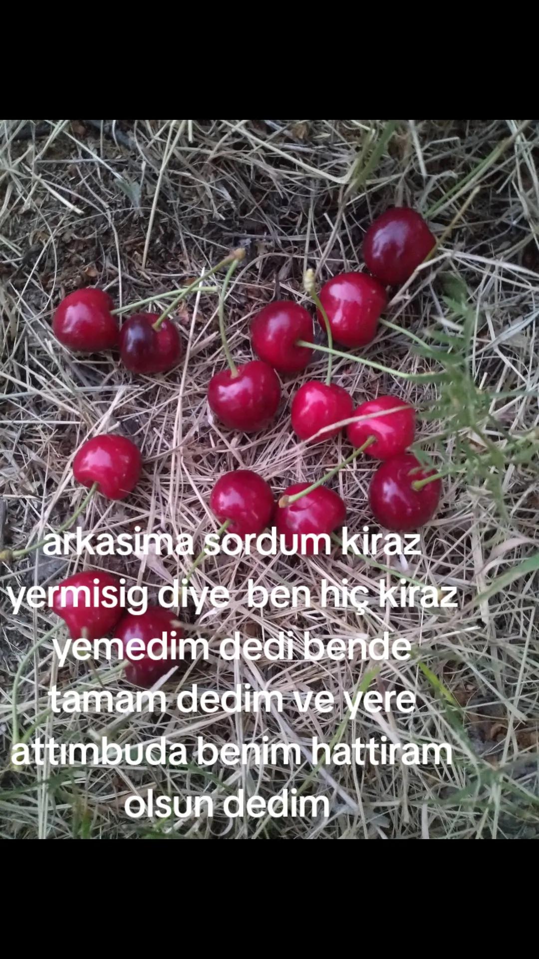 @İlknur Cakır