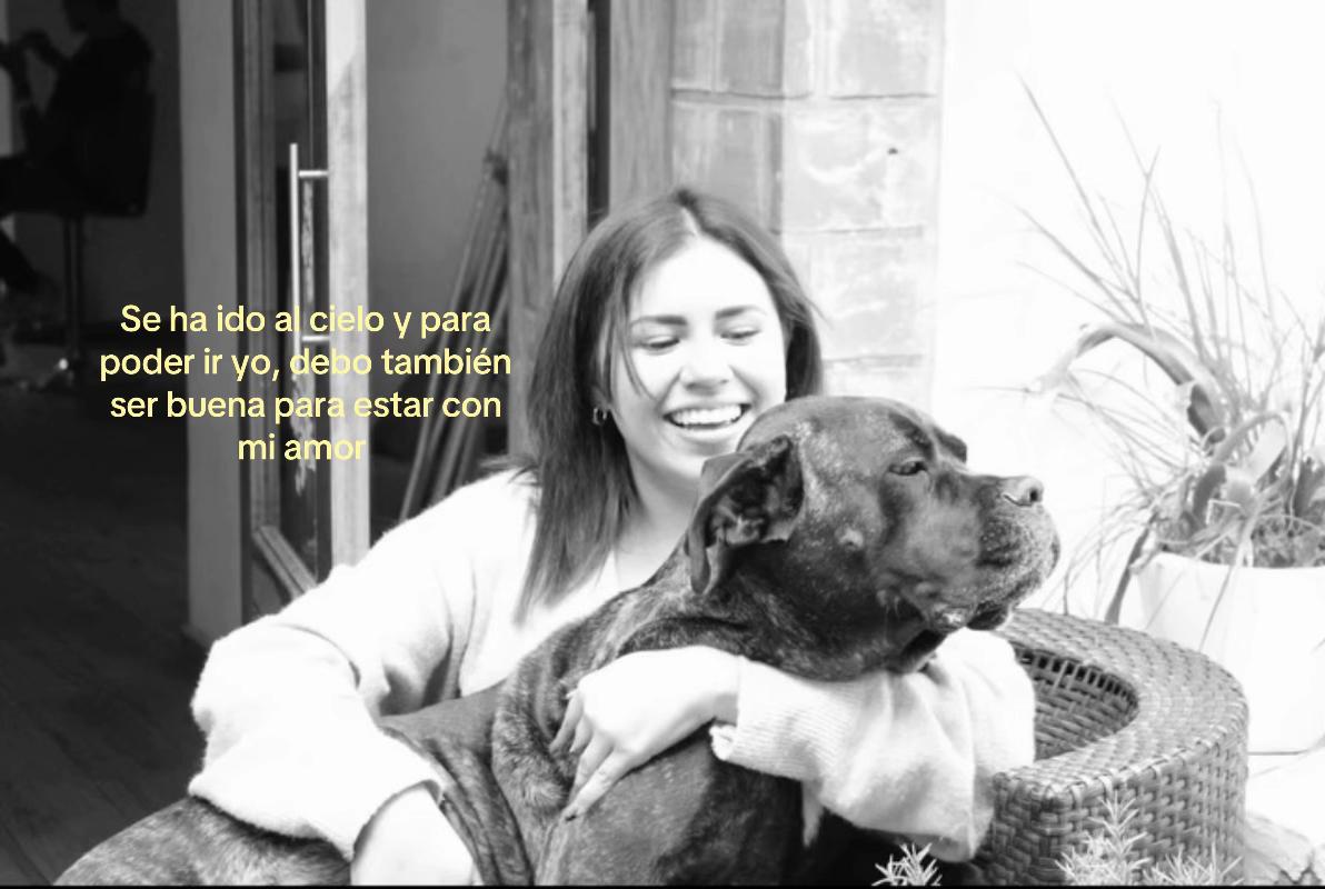 @pammoro
