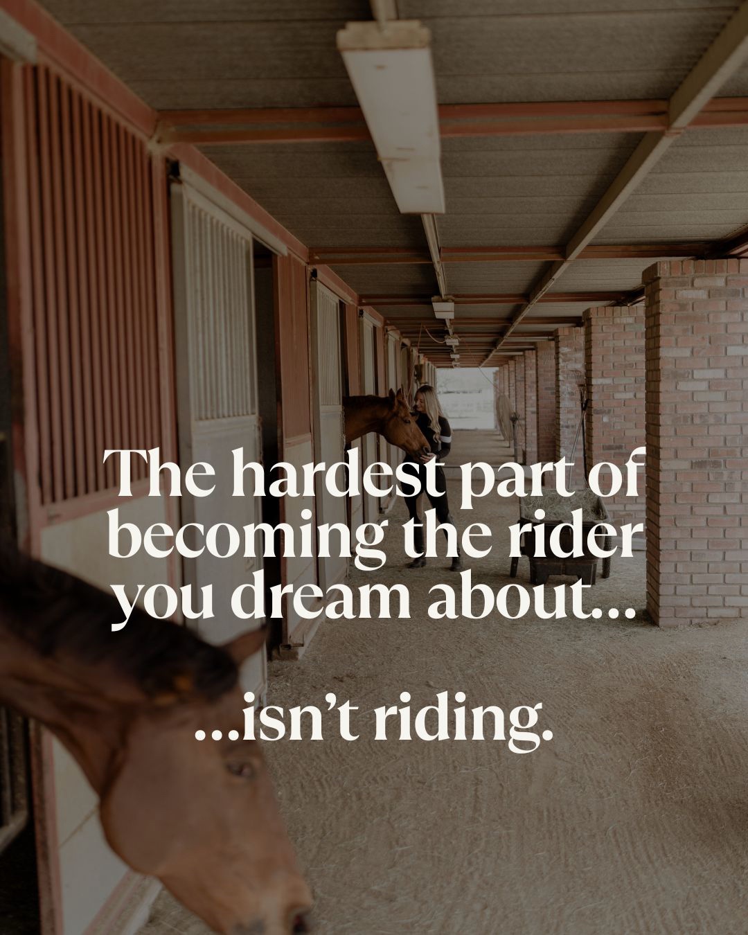 @VictoriaLynnEquestrian
