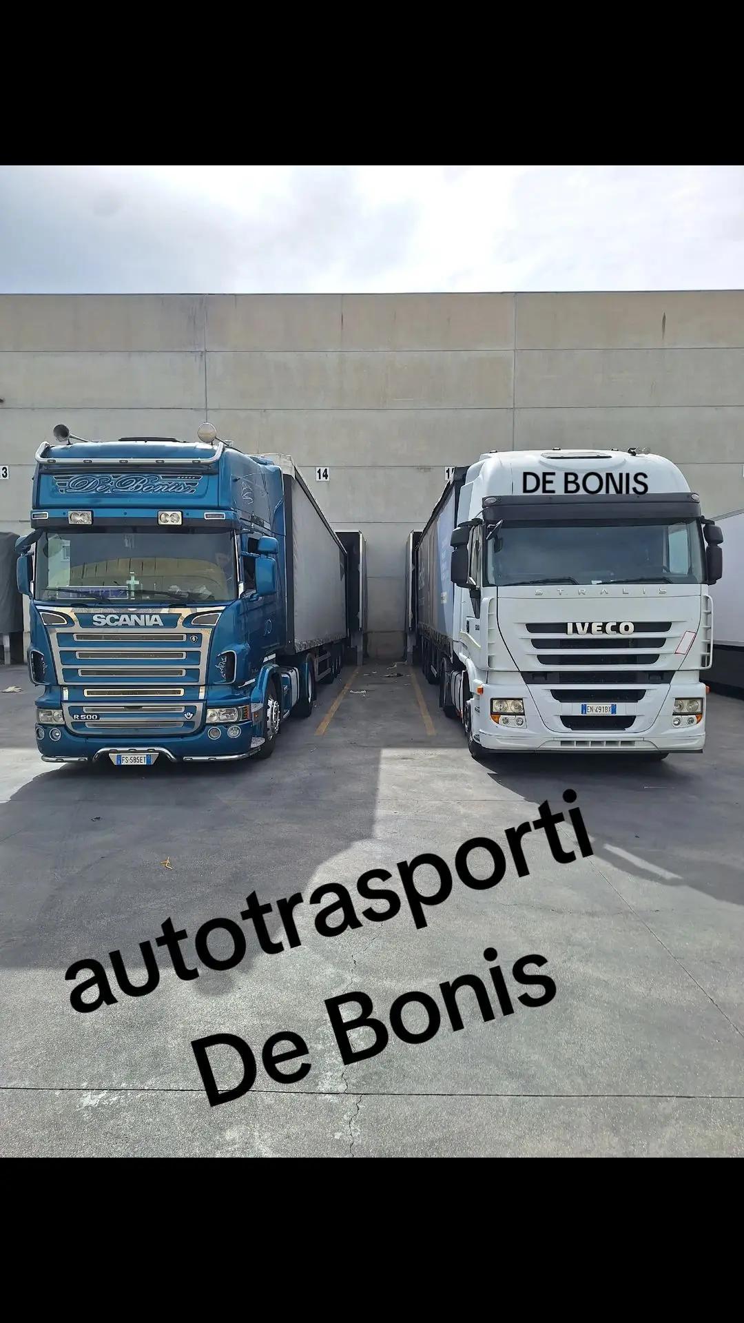 @mikeledebonis