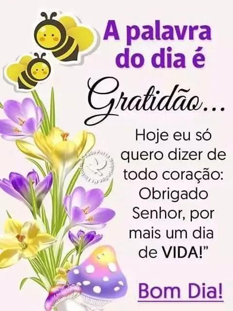 @Luciana Santos Chaga