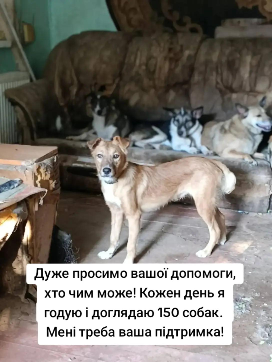 @tvarinkidobra