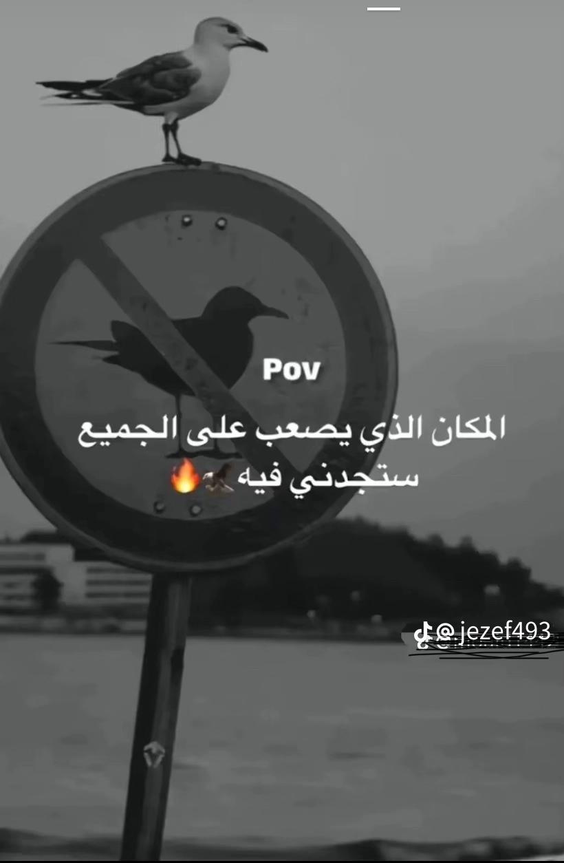 @mohamednsib51