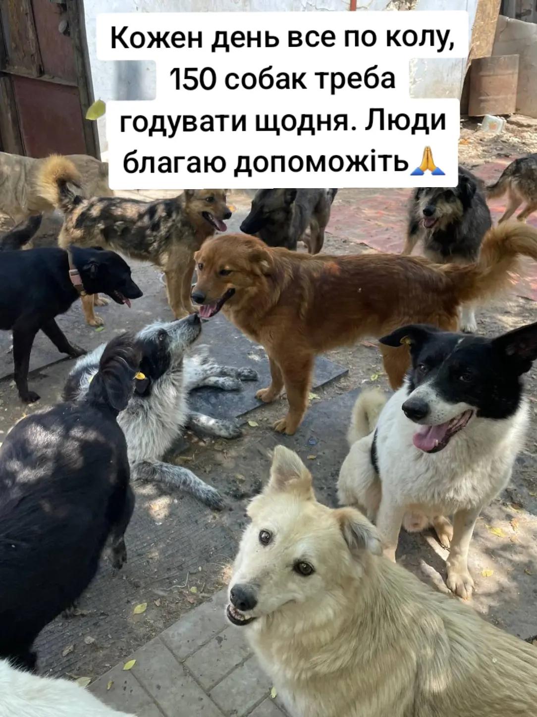 @tvarinkidobra