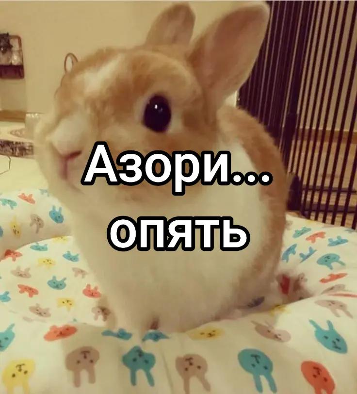 @чокопао 🍅