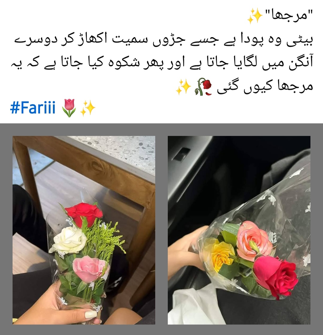@Fariha Hassaan❤️