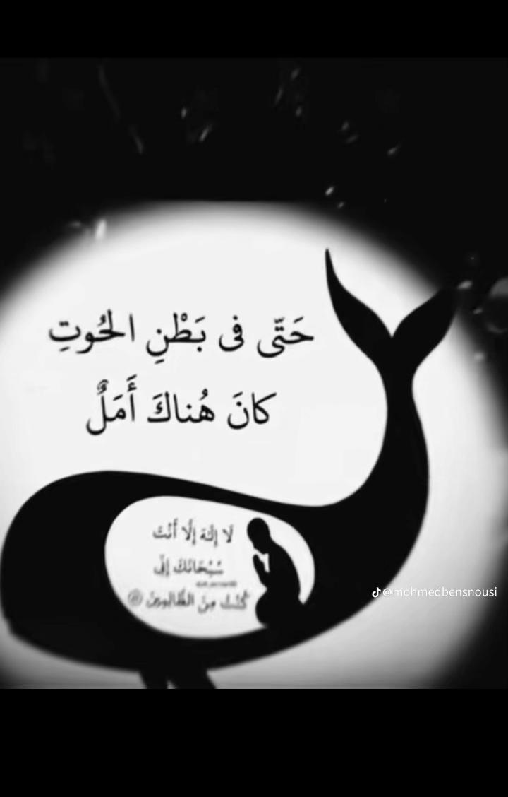@Zouhir Mz