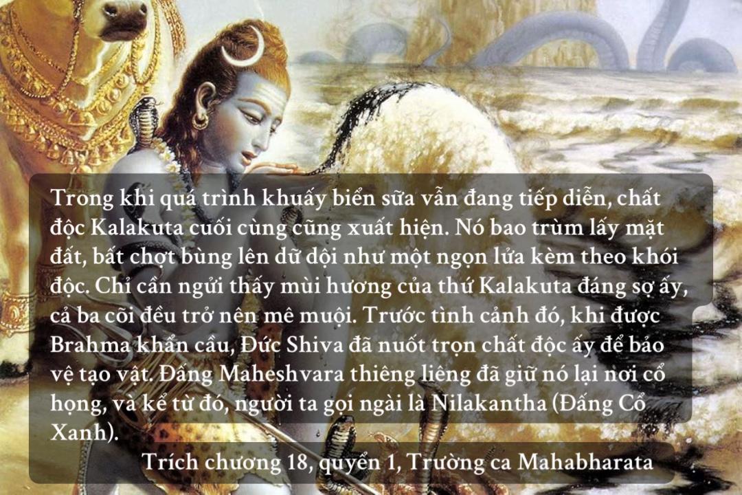 @Hindu Trong Ta