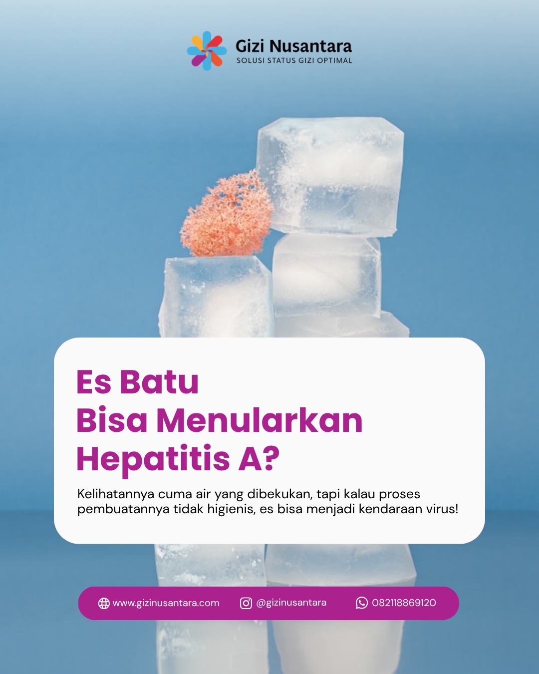 @Gizi Nusantara Official