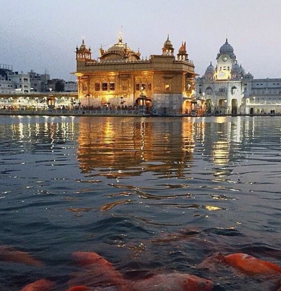 @@ 🧿 KAUR SAGGU 🧿