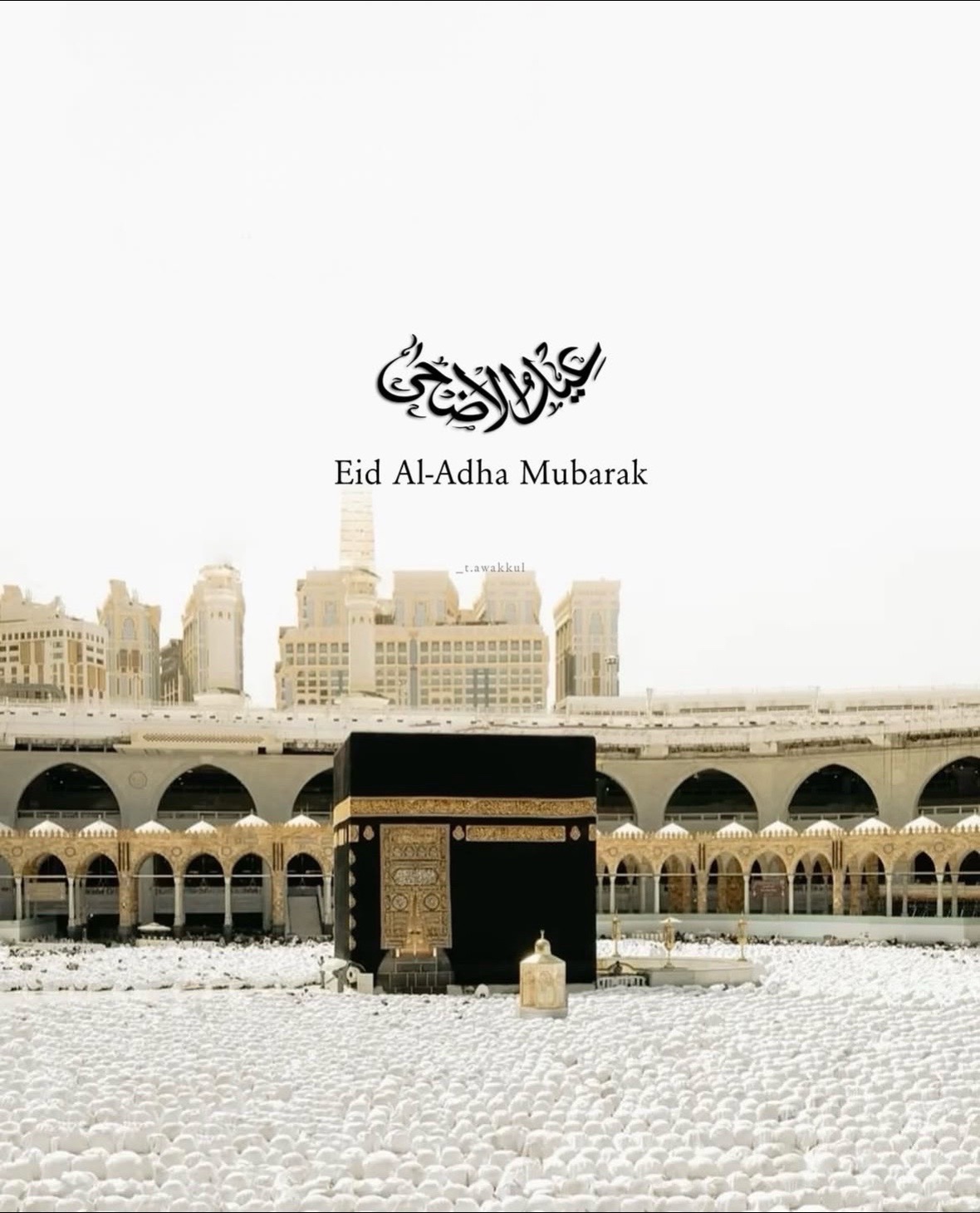 @Sensei Islam