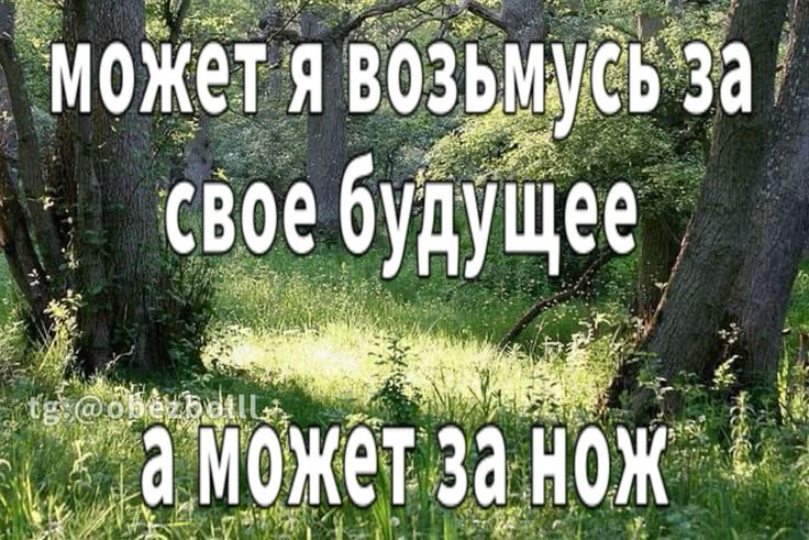 @пока