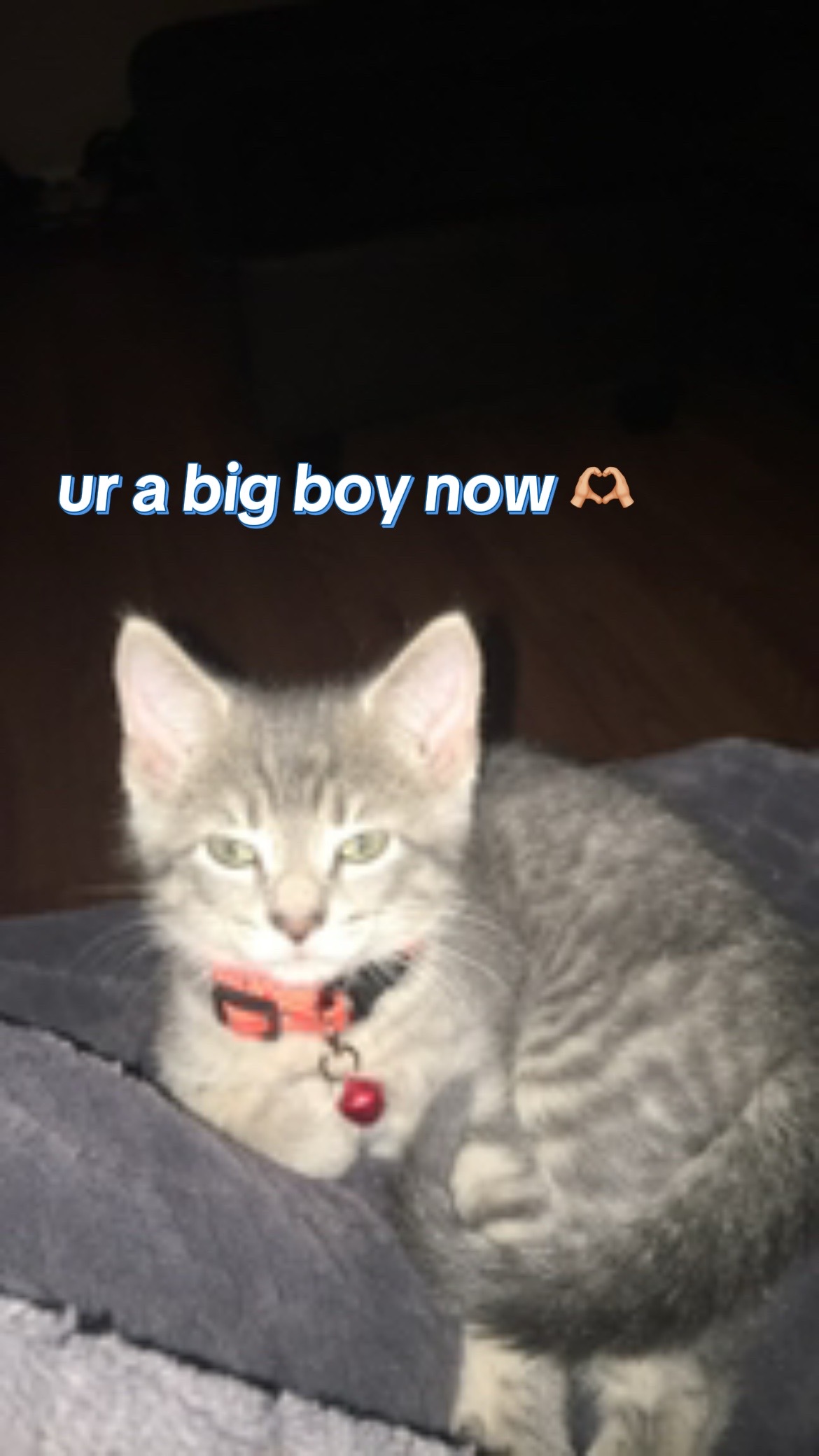 @haleyyy👺🫦