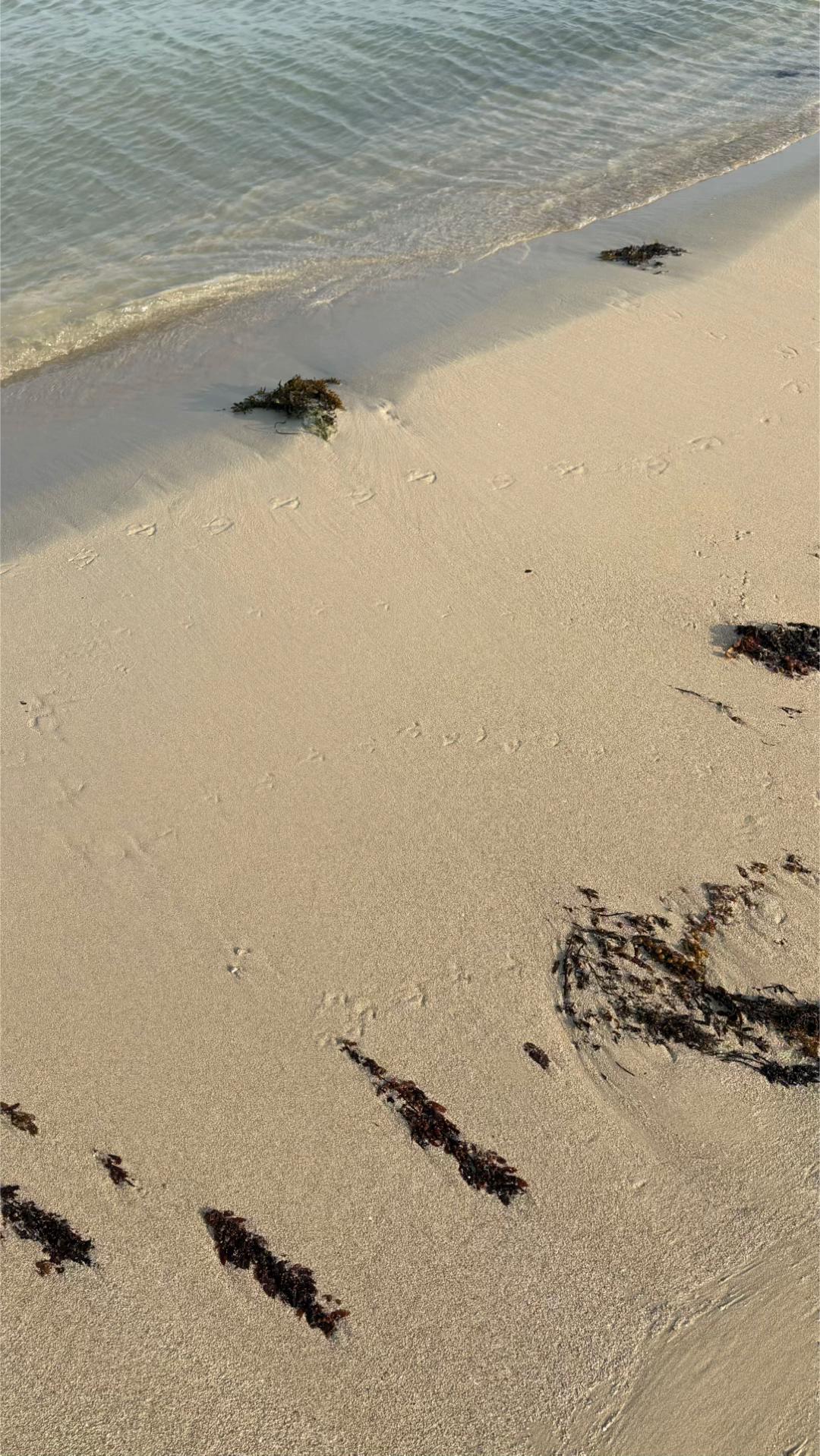 @شـــ☀️ــــد