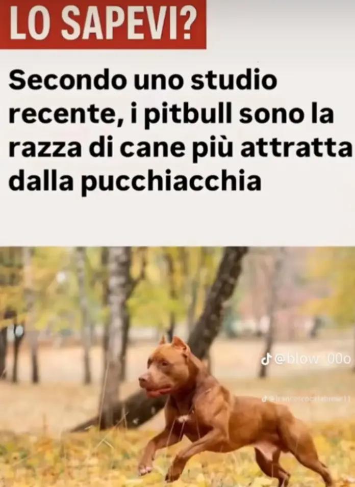 @paolo.salino🏆
