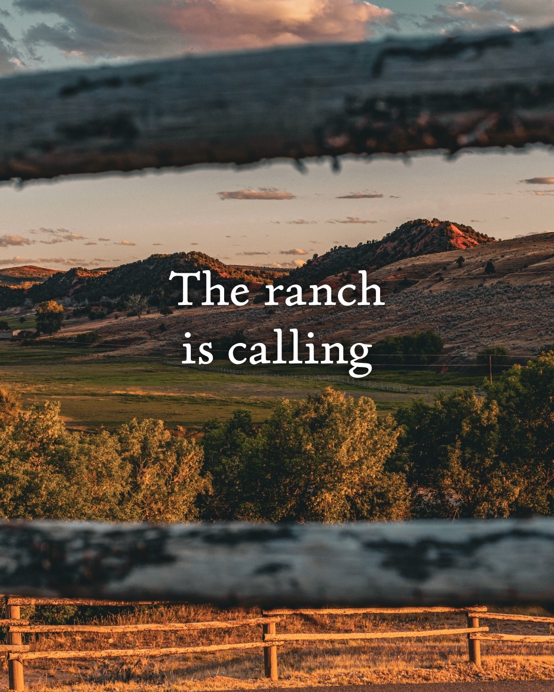 @LazyTRanch