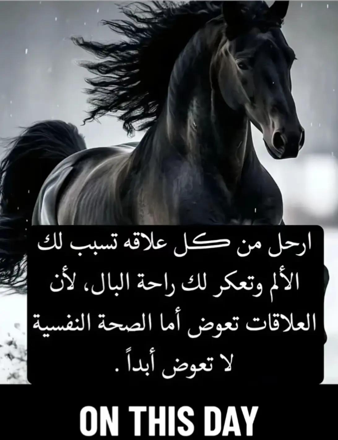 @ghizlannghizlann