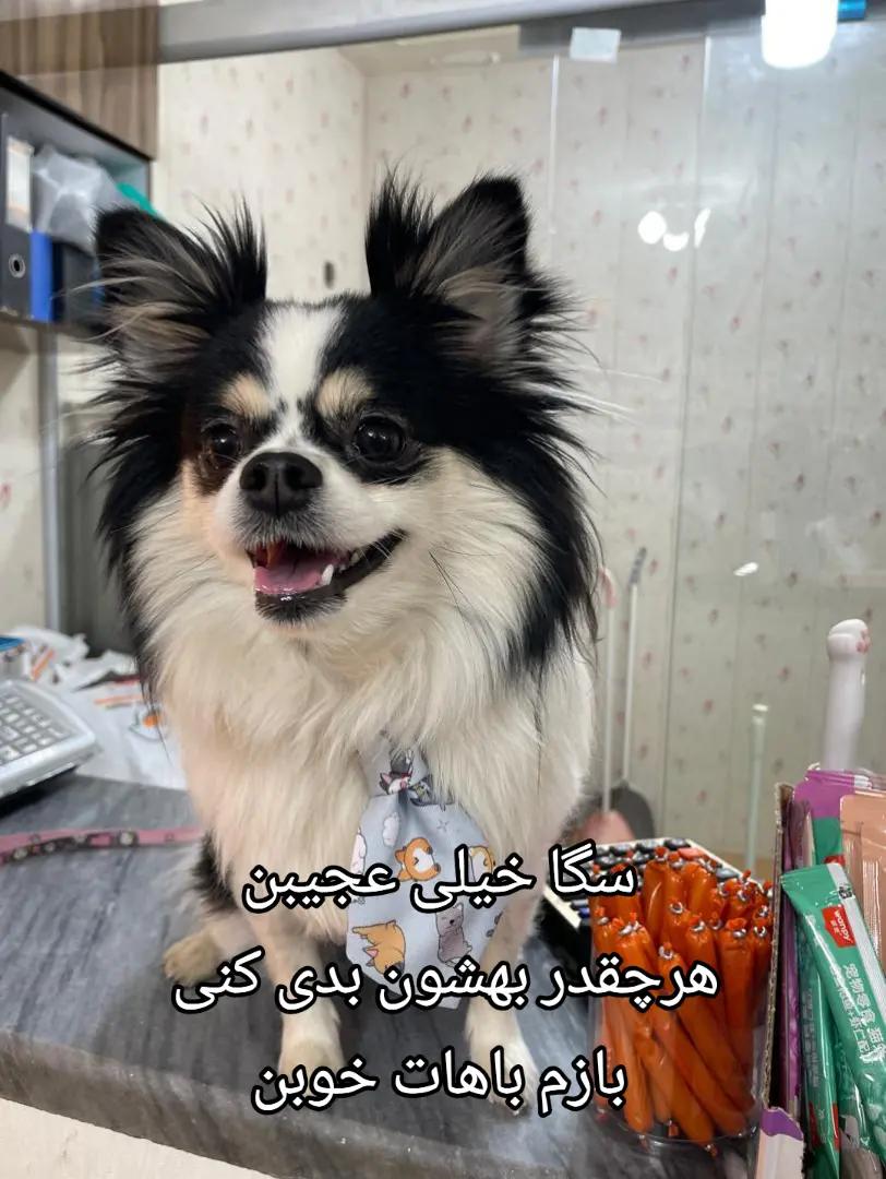 @𝕽𝖔𝖟𝖍𝖆𝖓🤓