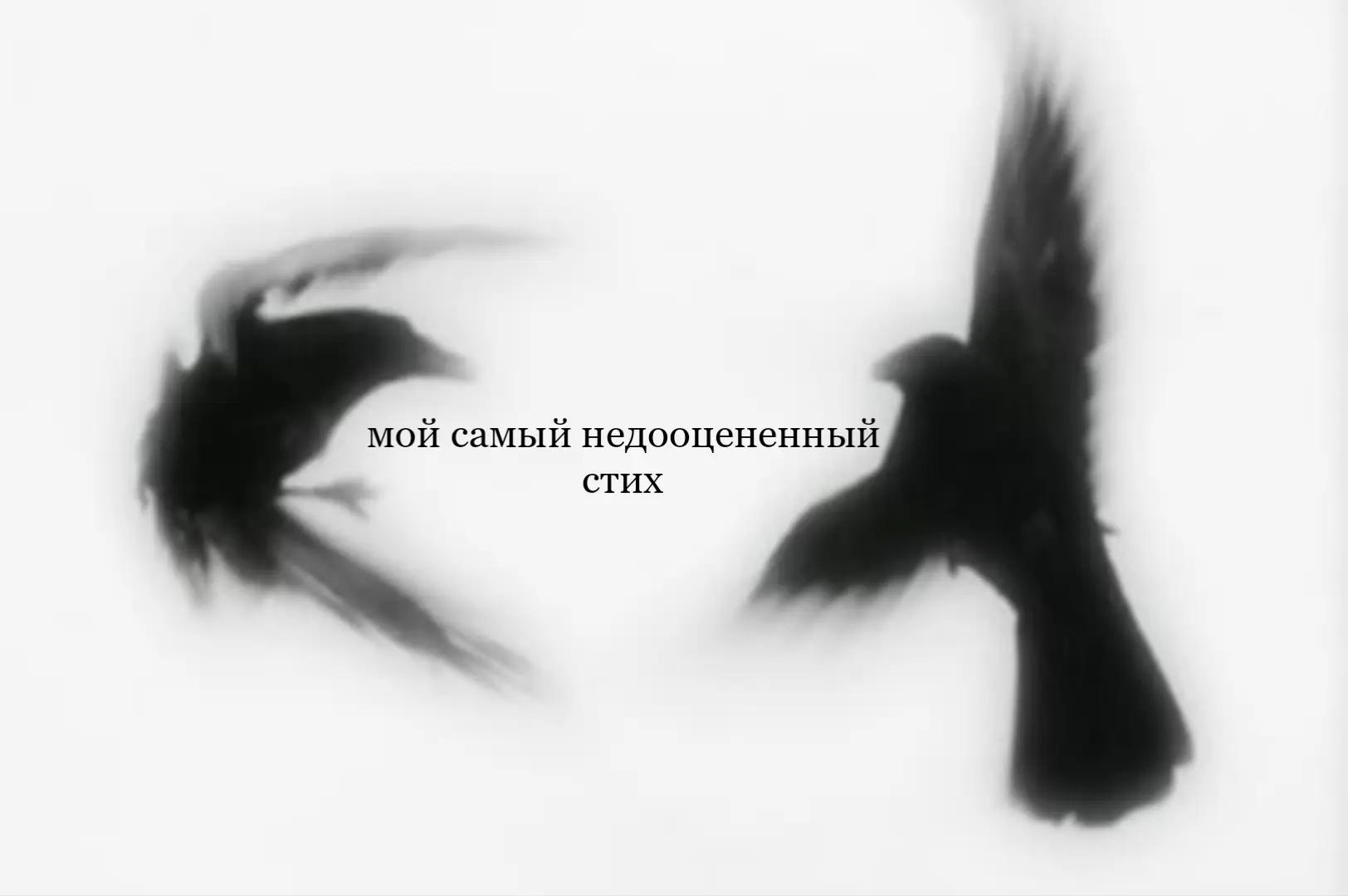 @гавчик