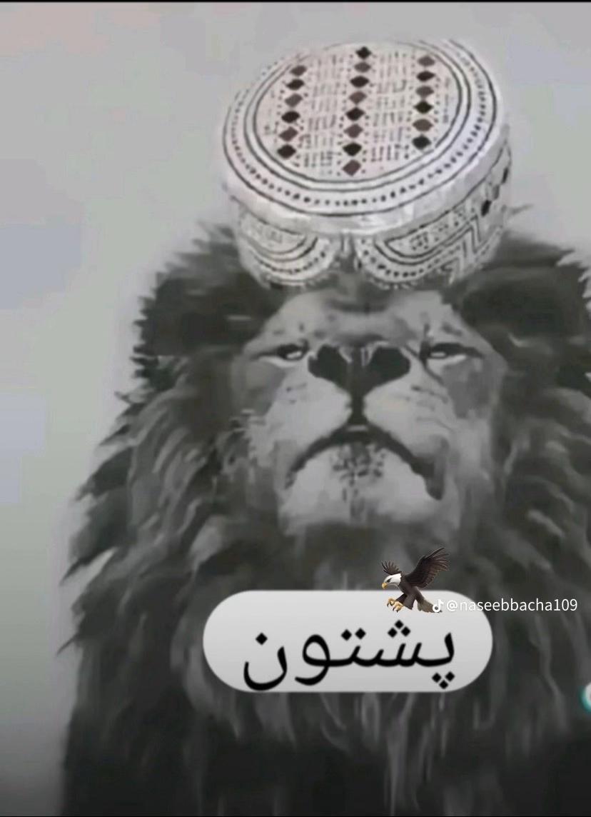 @Arman