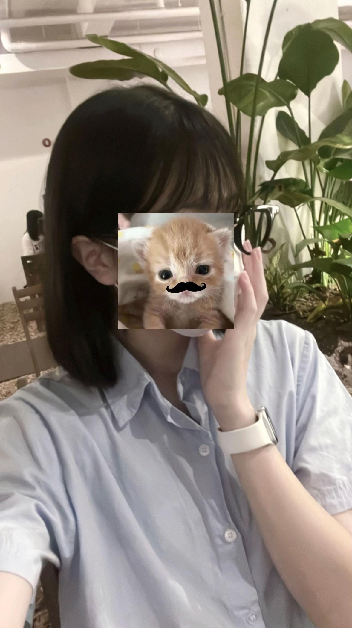 @아이스현미녹차