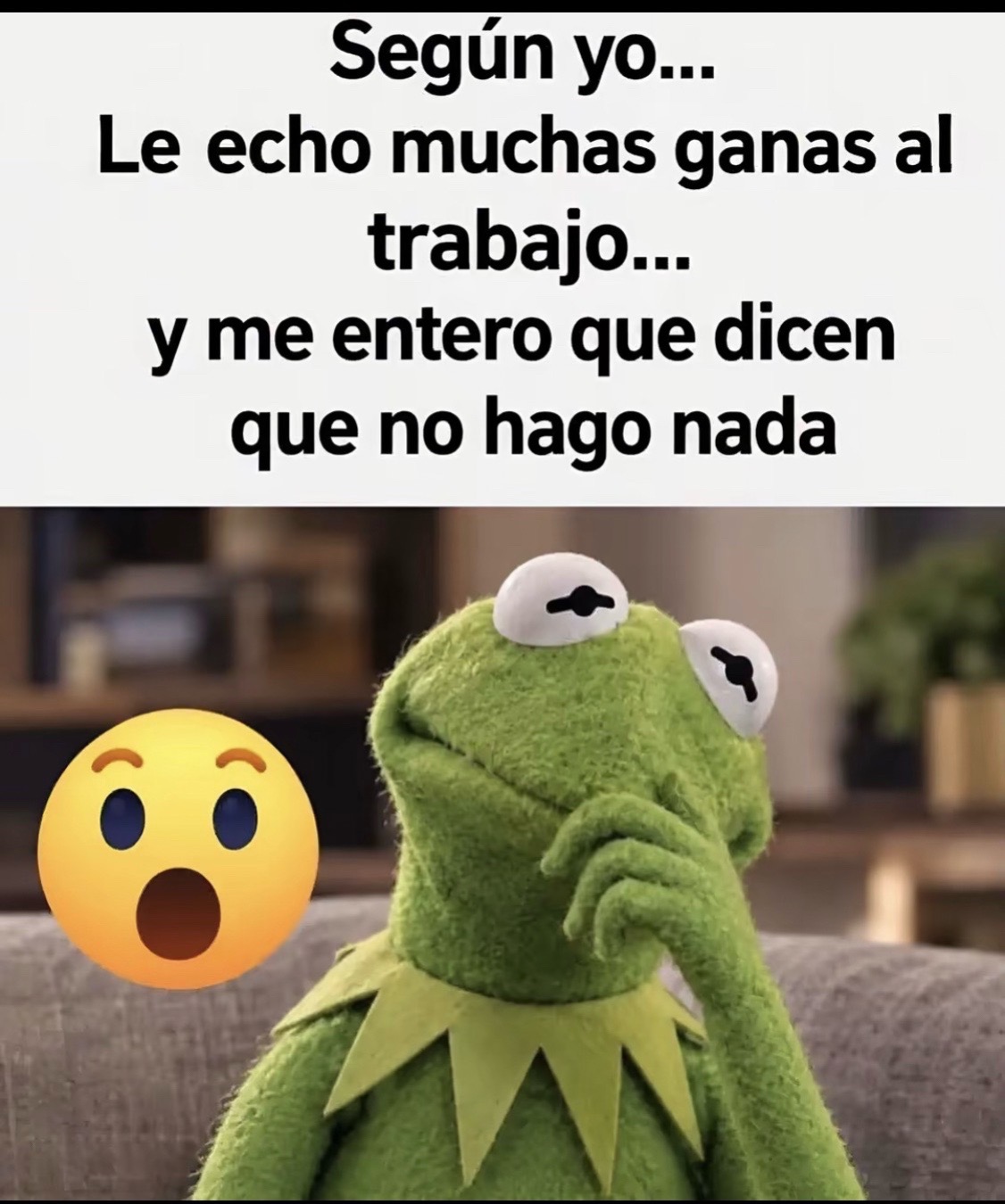@Estela chicas