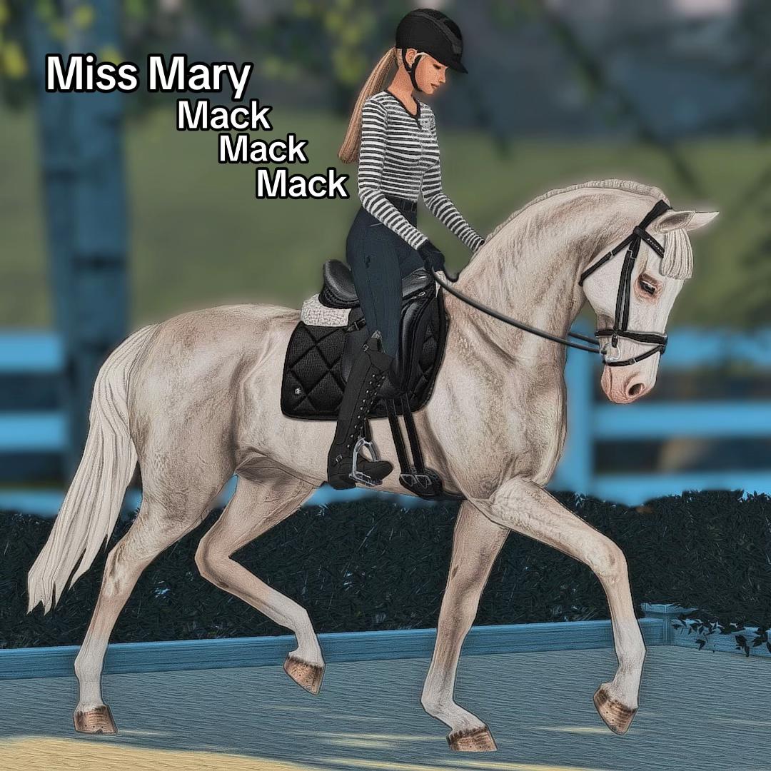 @mainorhillsstud