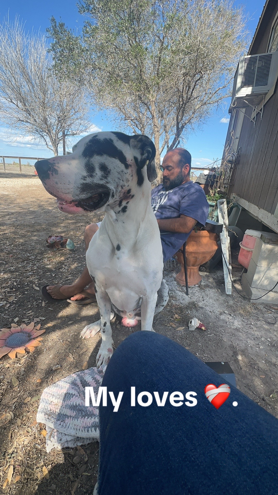 @sierra_delagarzal00