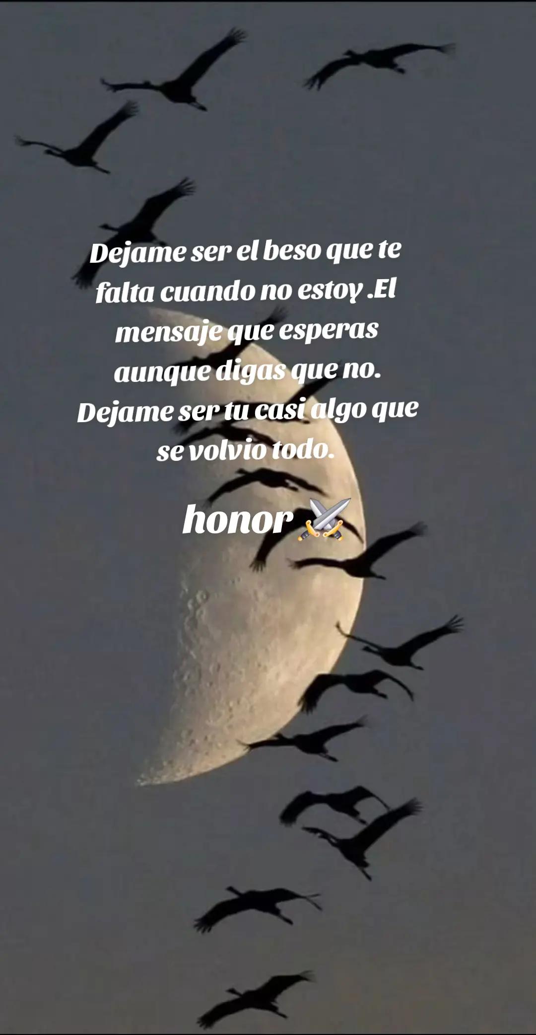 @normita
