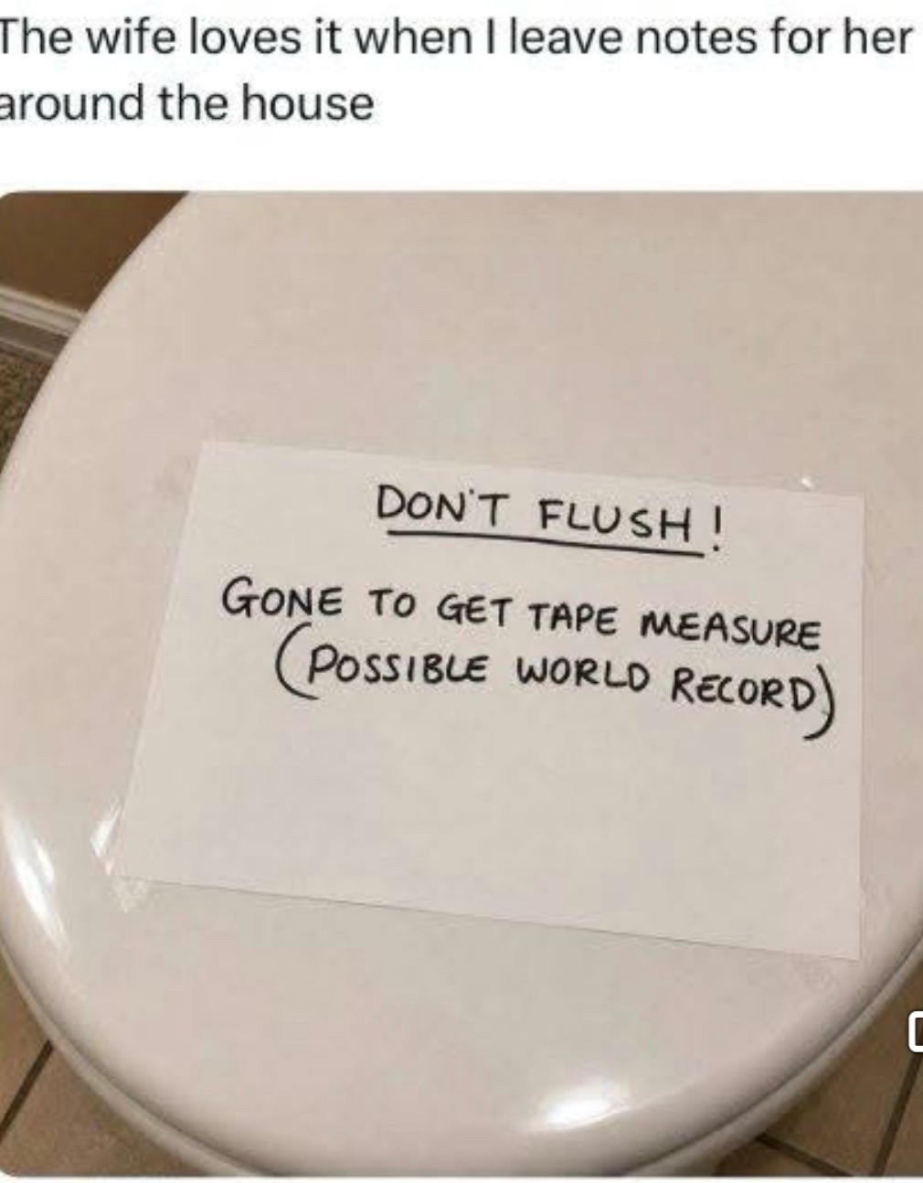 @dailyfeelz.tv