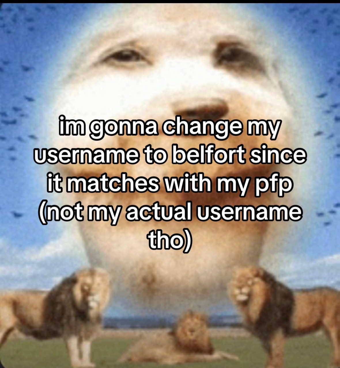 @𝓑𝓮𝓵𝓯𝓸𝓻𝓽