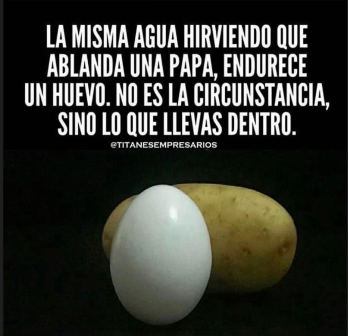 @Fernando Bonilla