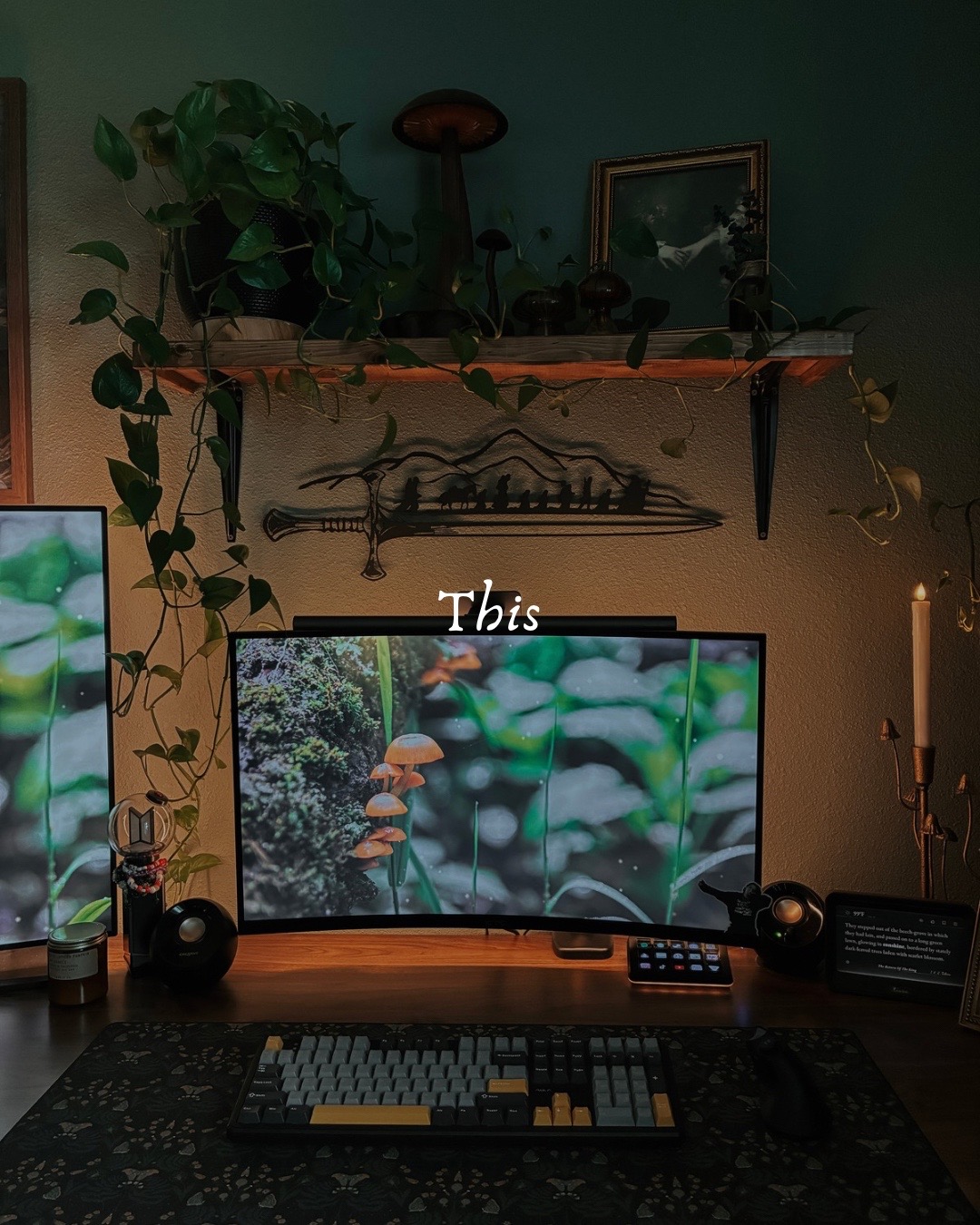 @the.cozy.magnolia