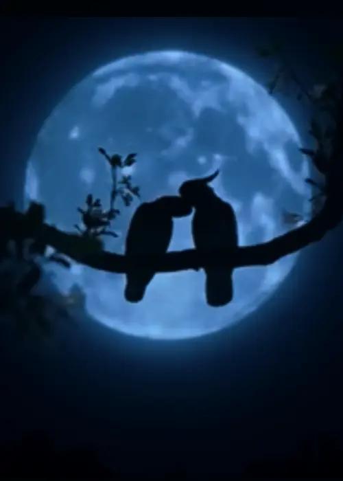@Without_you 96