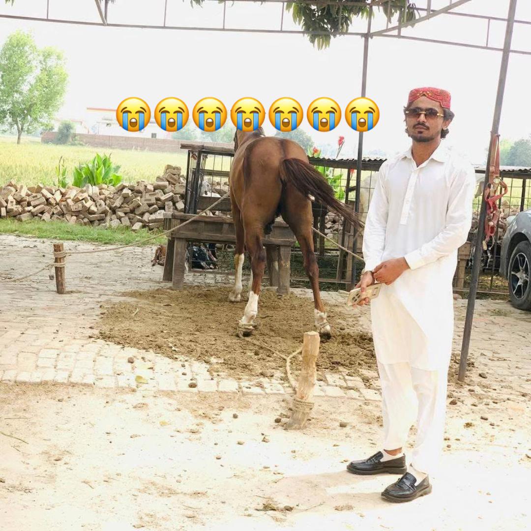 @🖤SaadArafat🖤