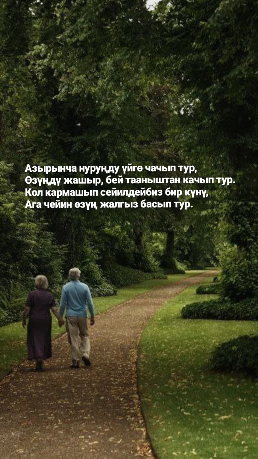 @Tilek