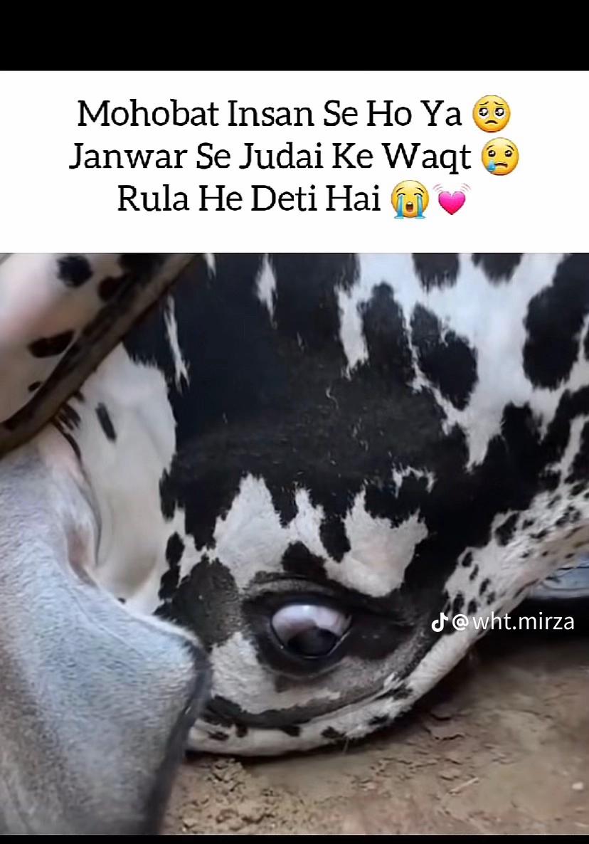 @★&cedil;&bull;☆&bull;★UMMU〽️KehTi Thi wO &bull;☆&bull;.★