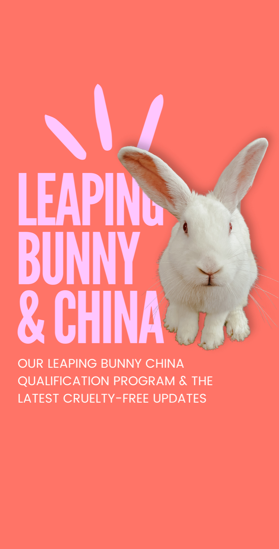 @Leaping Bunny Program