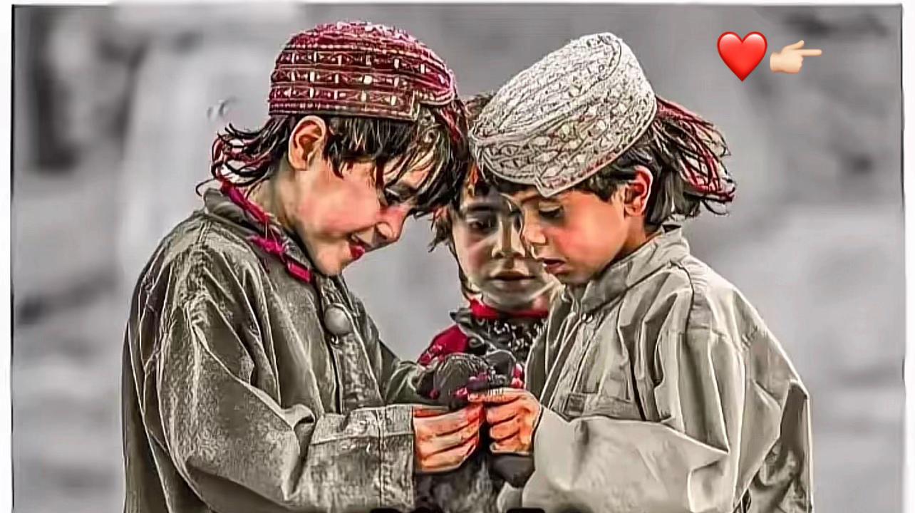 @Mayar Wardak—🦅