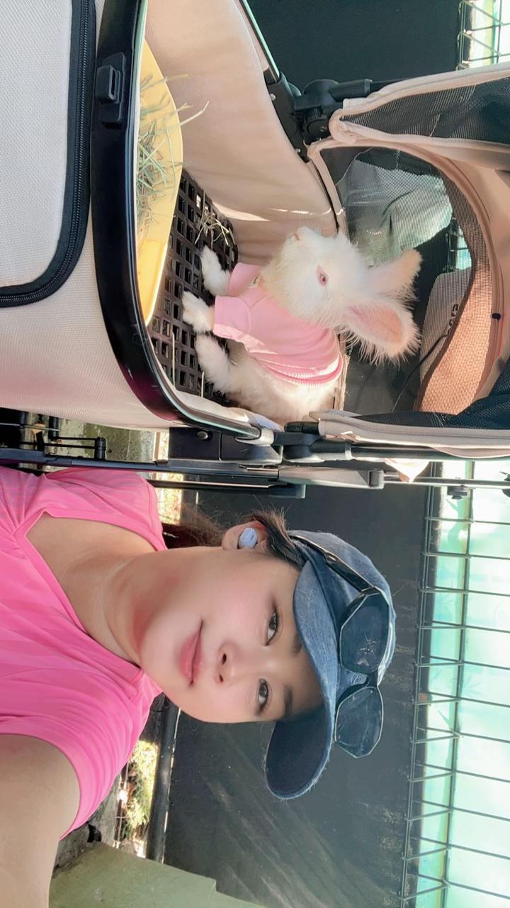 @🐰 Morhpin 🐰