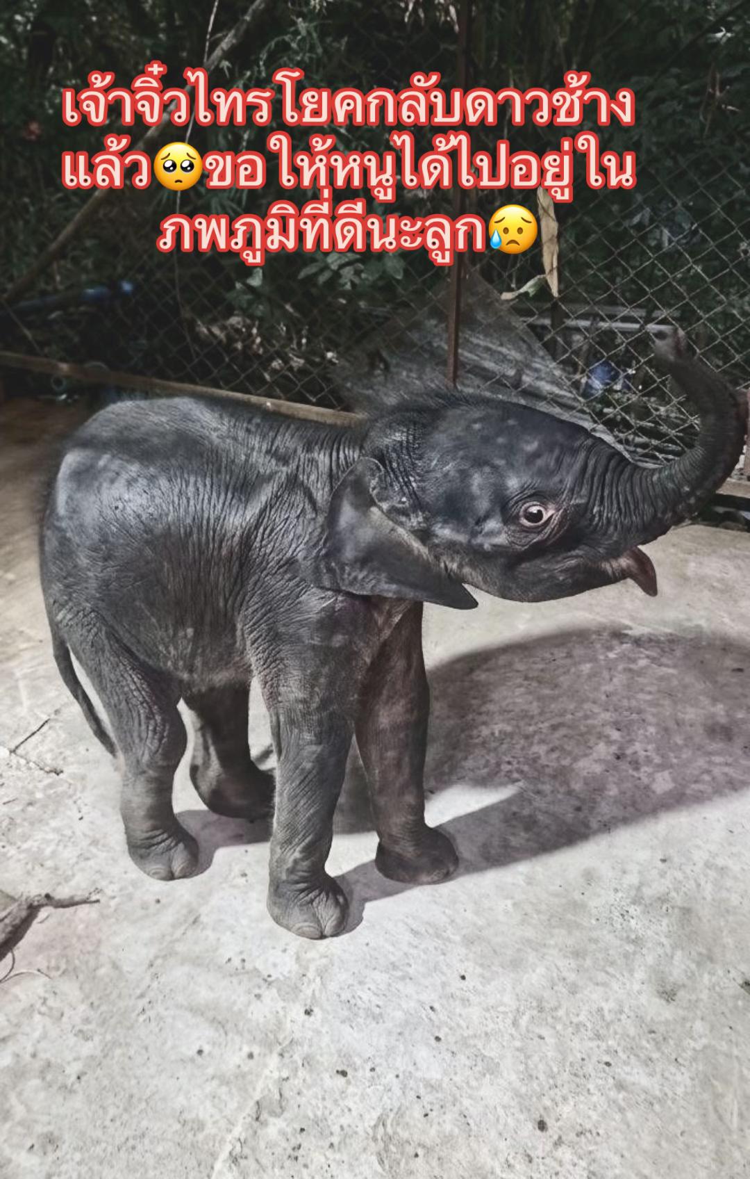 @Siriwan Setraksa(OIL)